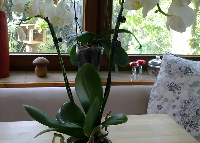 게스트하우스 Pension Eltmann